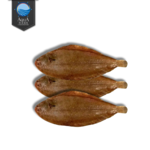 SOLE FISH