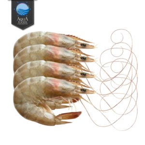 Jumbo Prawns