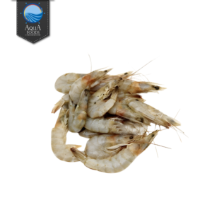 Small Shrimps