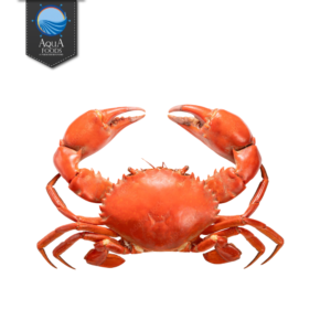 SEA CRAB