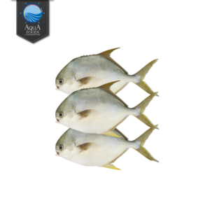 AQUAFOOD