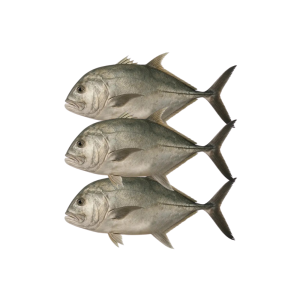 MOONFISH