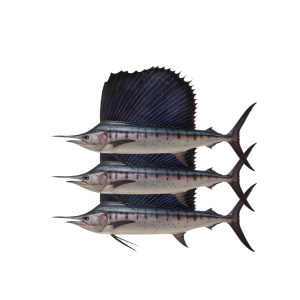 SHRIMP SCADS