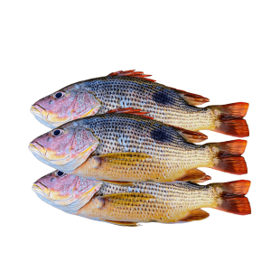 SILVER POMFRET