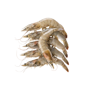 Jumbo Prawns